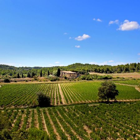 Penzion Domaine De Palats Laure-Minervois Exteriér fotografie