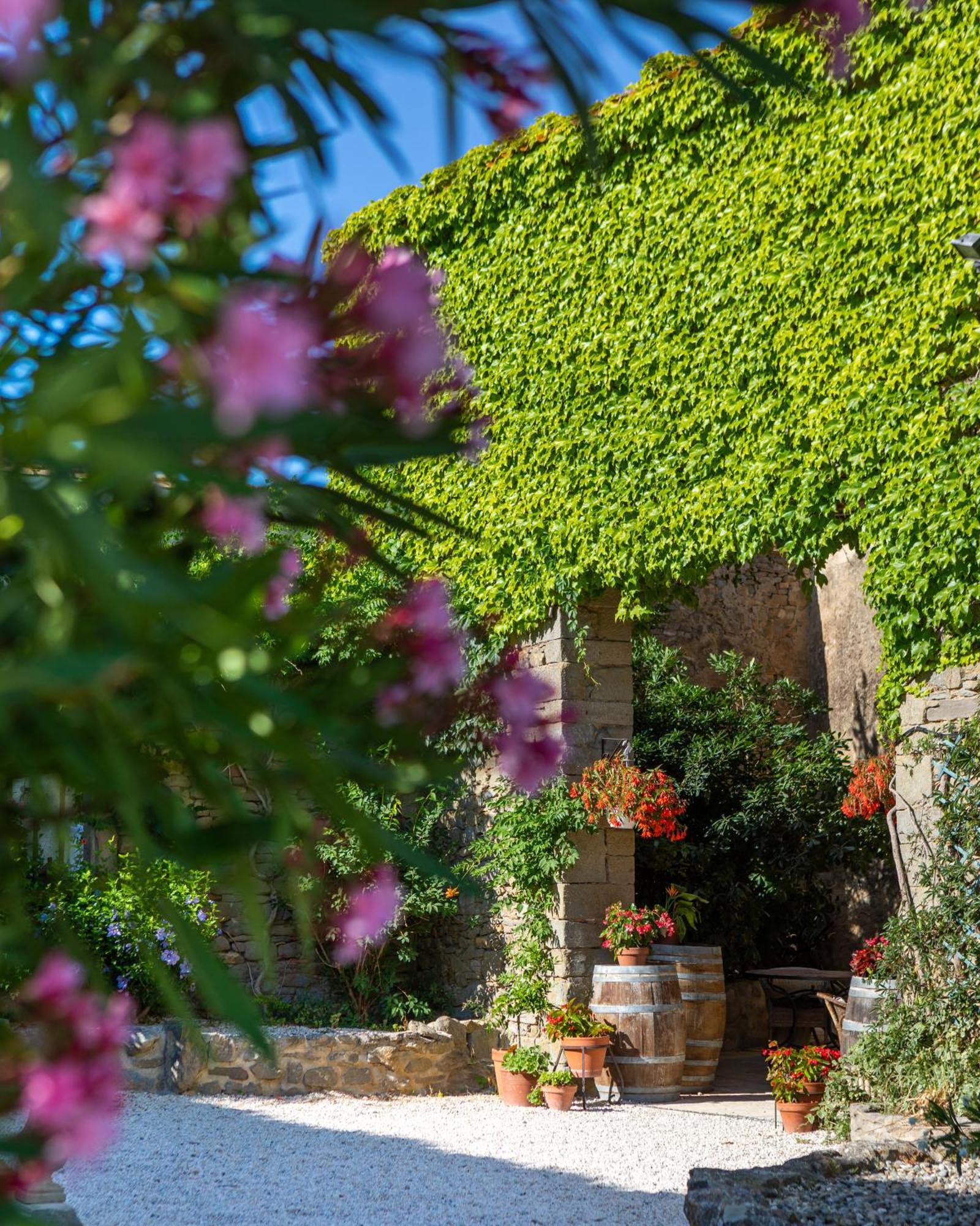 Penzion Domaine De Palats Laure-Minervois Exteriér fotografie