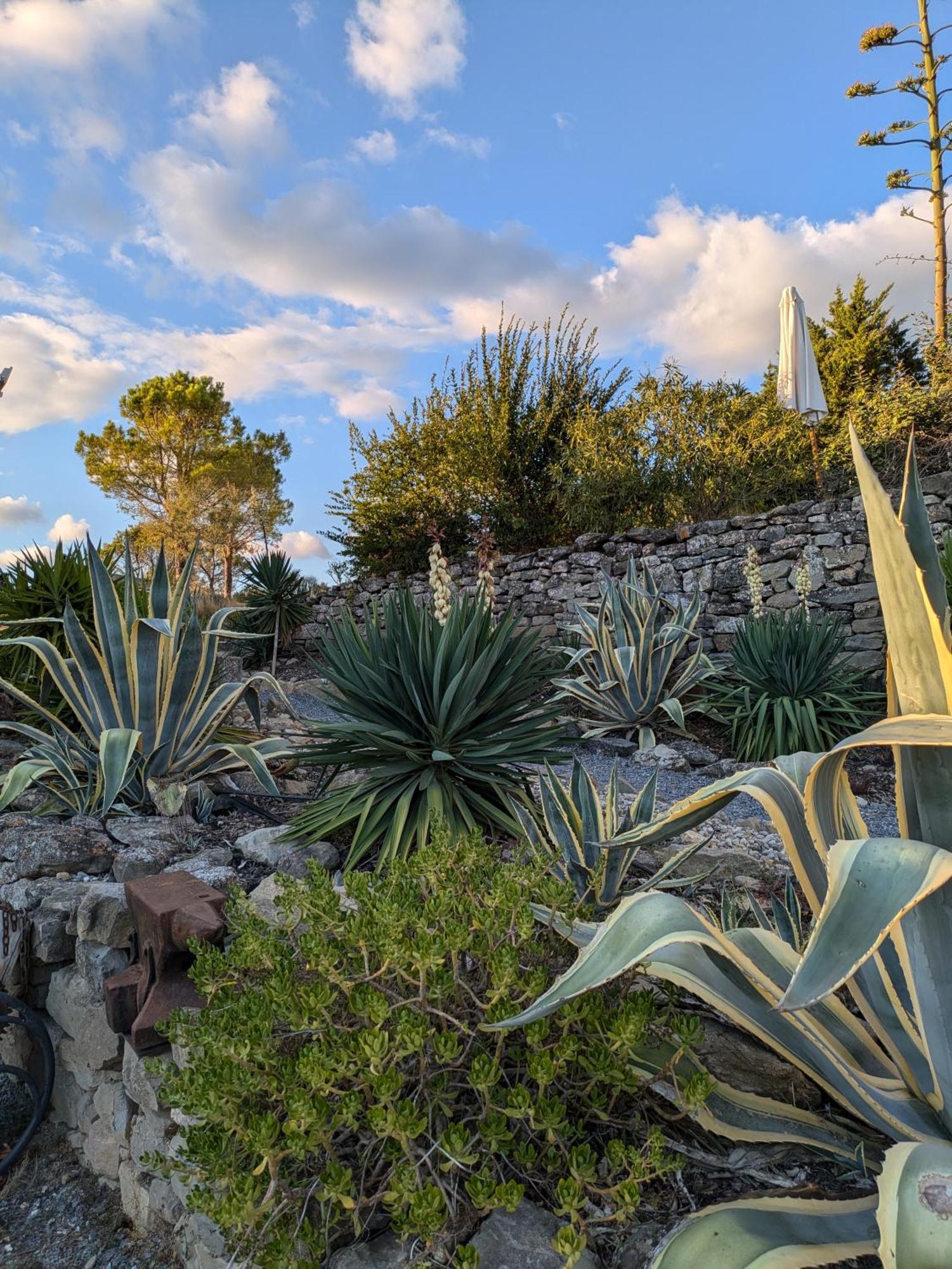 Penzion Domaine De Palats Laure-Minervois Exteriér fotografie