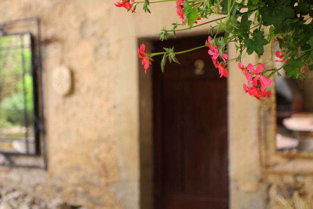 Penzion Domaine De Palats Laure-Minervois Exteriér fotografie