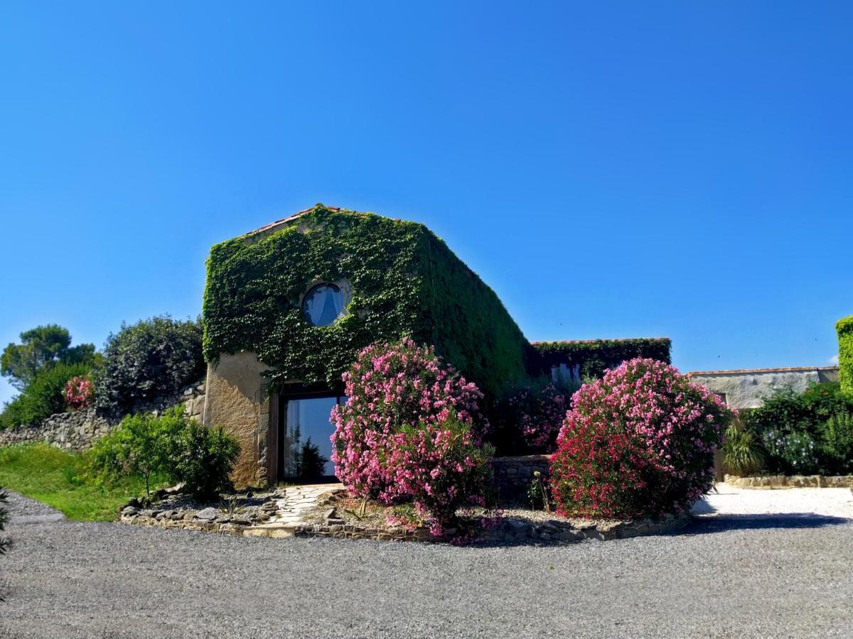 Penzion Domaine De Palats Laure-Minervois Exteriér fotografie