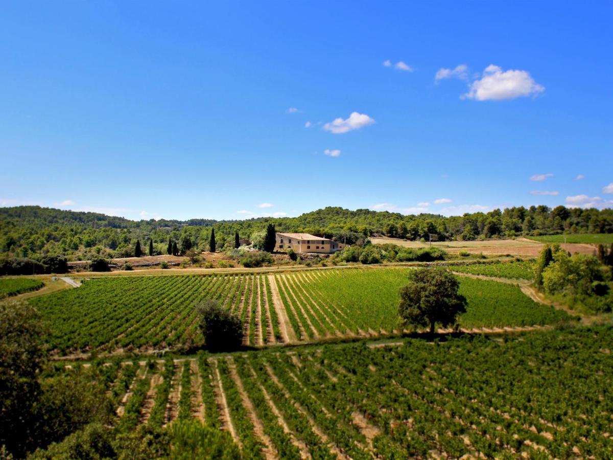 Penzion Domaine De Palats Laure-Minervois Exteriér fotografie